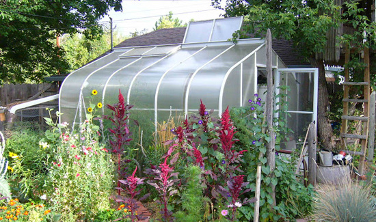 greenhouse with open roof panel