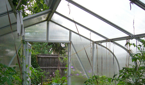 Open roof panel in greenhouse
