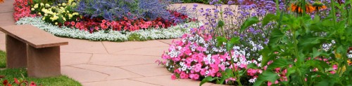 flowers on a path